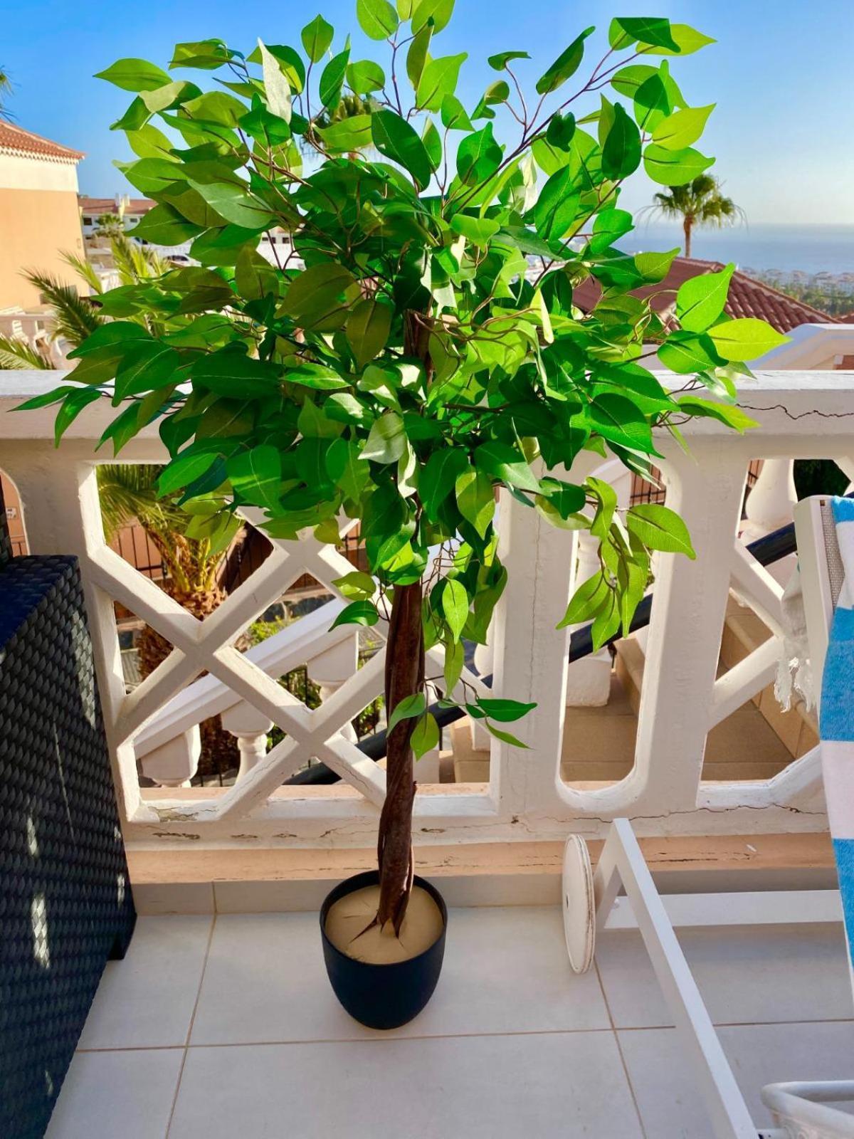 Passione Beautiful Apartment With Sea View 阿德耶 外观 照片